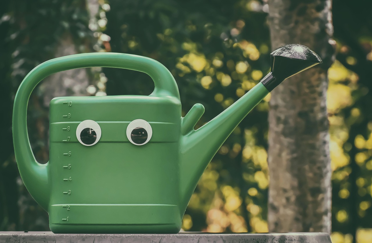 watering can, garden, nature, gardening, to water, plant, irrigation, horticulture, botany, watered, watering can, watering can, watering can, watering can, watering can, irrigation, irrigation